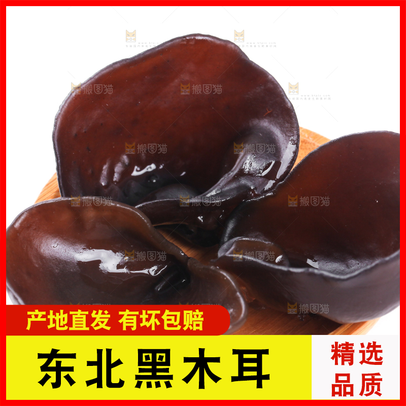 白底上的小碗耳