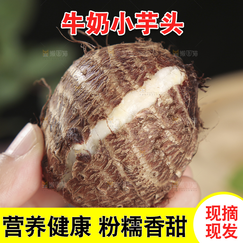 牛奶小芋头主图