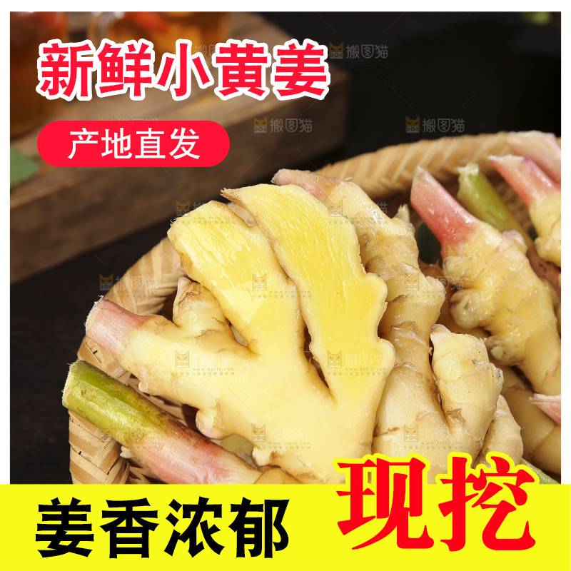 深底上的小黄姜
