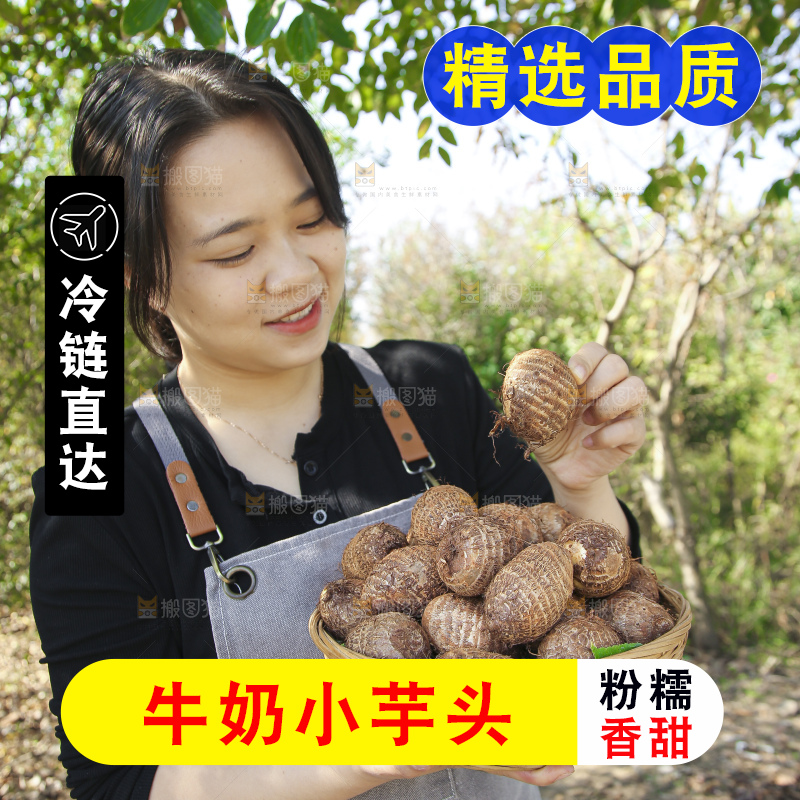 手里拿着新鲜小芋头