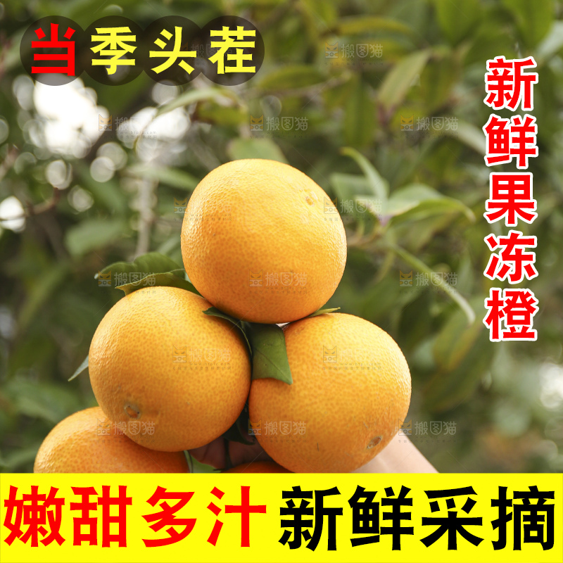 手里拿着爱媛果冻橙