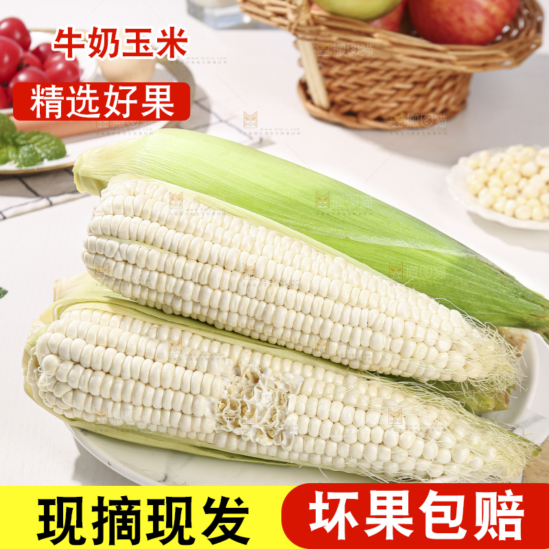 浅底上的牛奶玉米