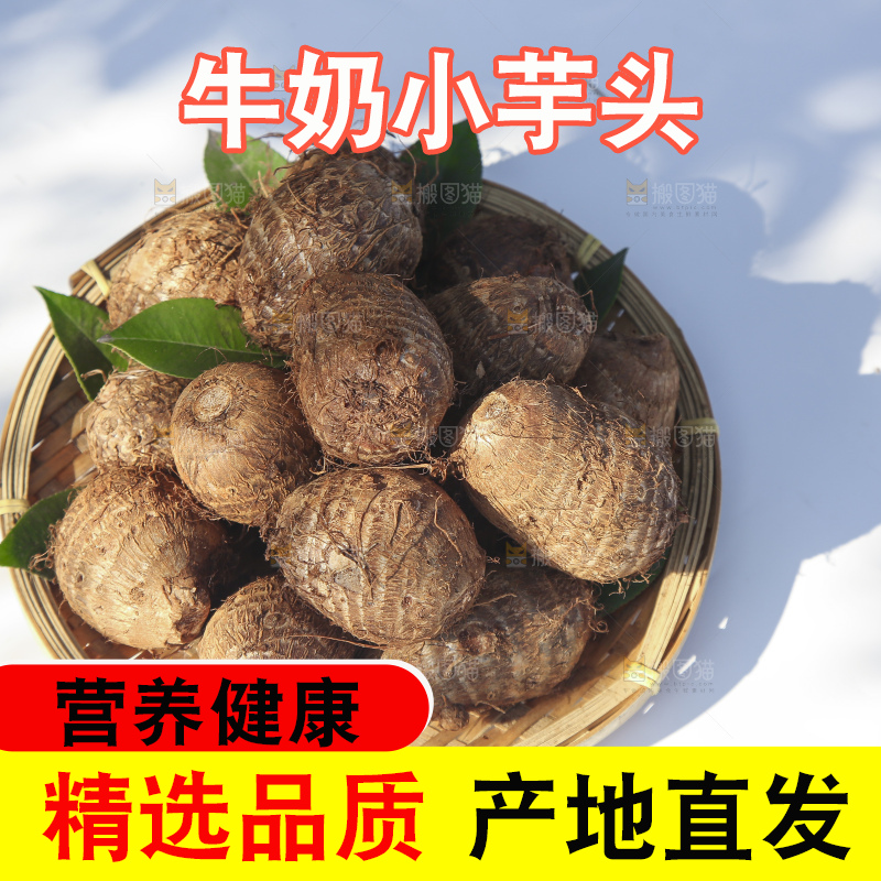 浅底上的新鲜小芋头