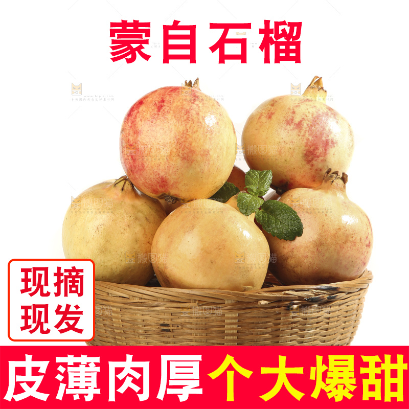 白底上的蒙自石榴