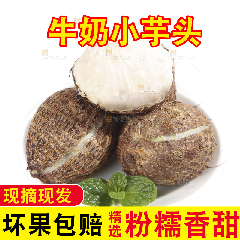 白底上的牛奶芋头