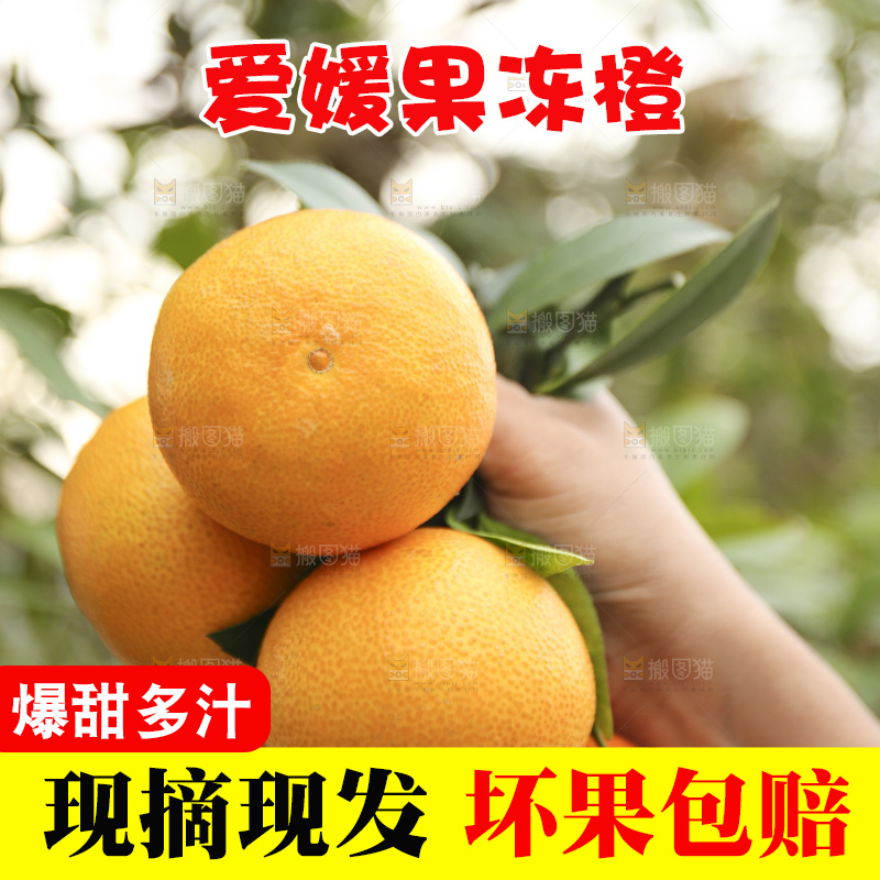 手里拿着爱媛果冻橙