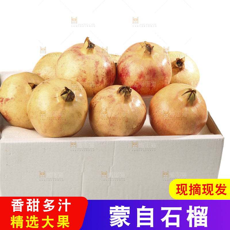 白底上的蒙自石榴