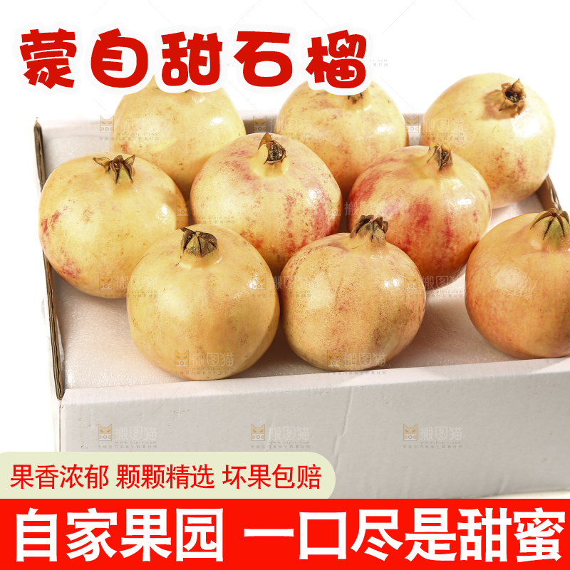 白底上的蒙自石榴