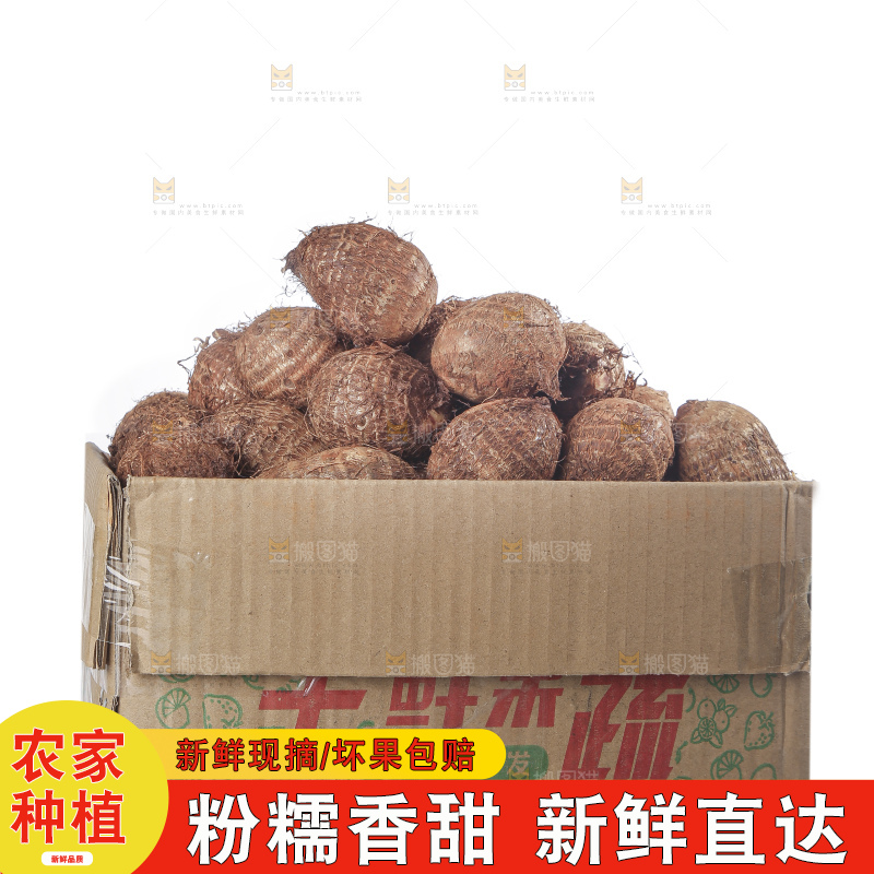 白底上的牛奶芋头