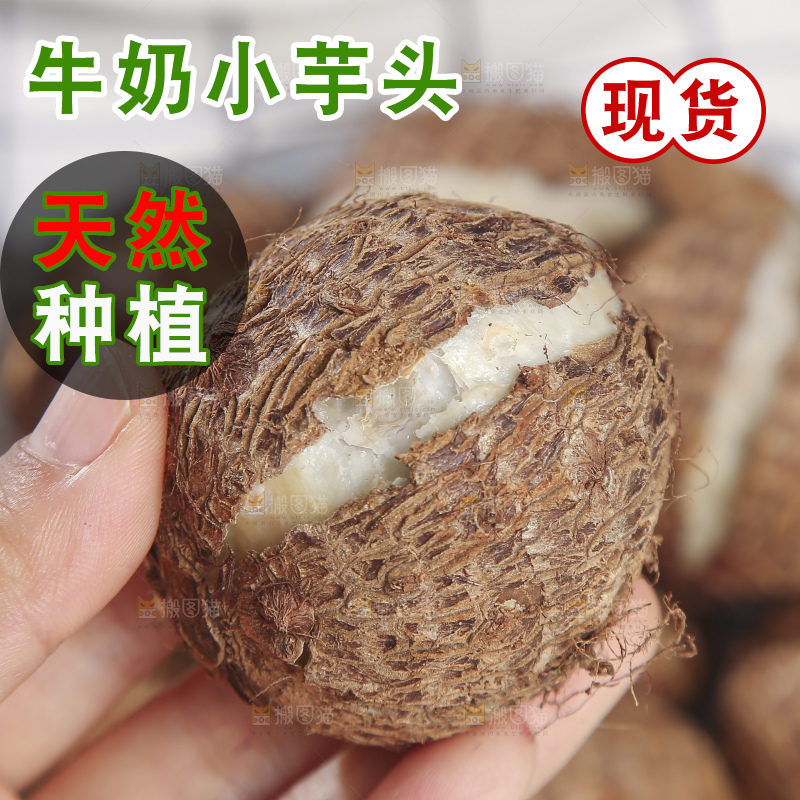 浅底上的新鲜小芋头