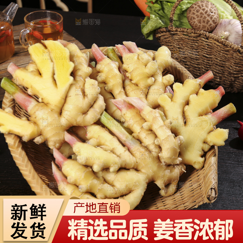 深底上的小黄姜