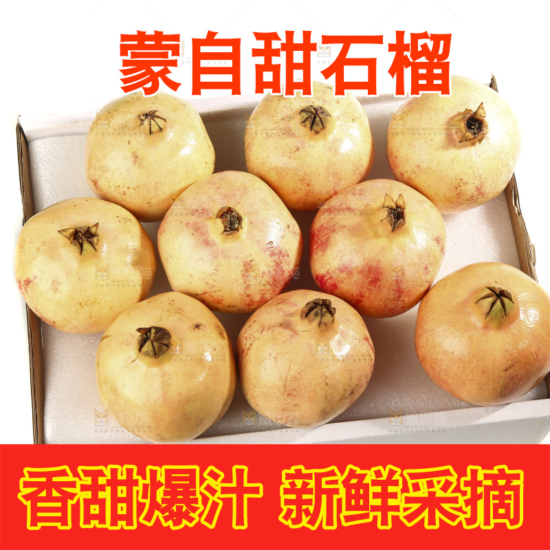 白底上的蒙自石榴