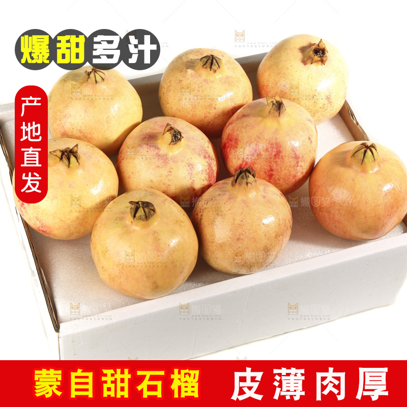 白底上的蒙自石榴