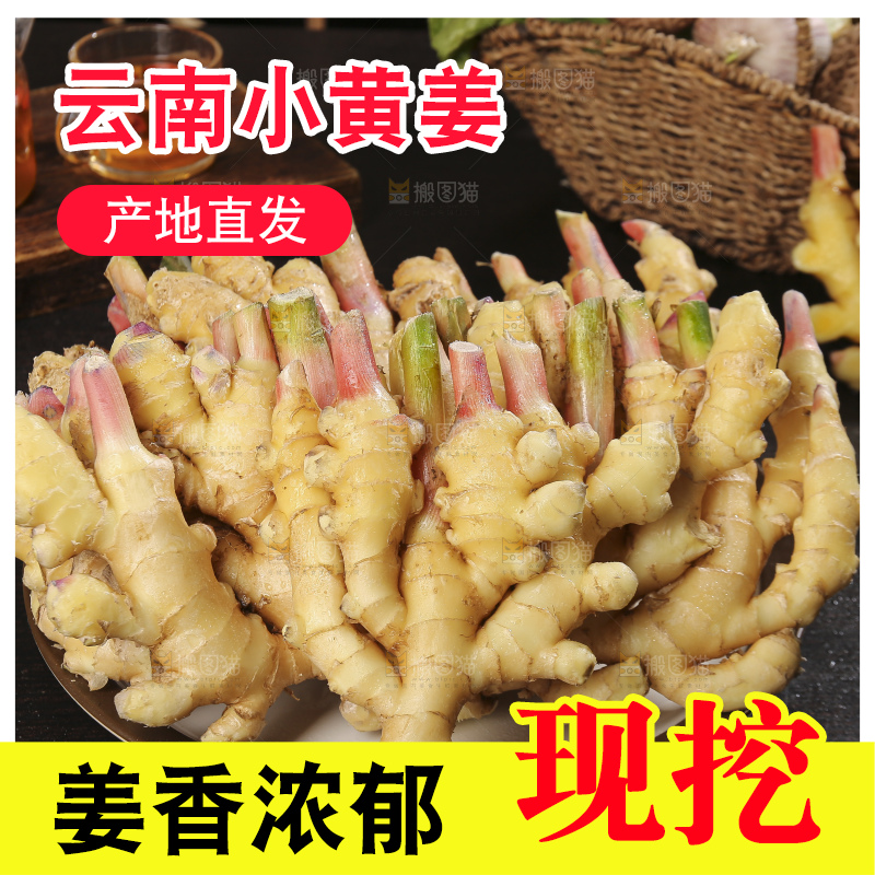 深底上的小黄姜