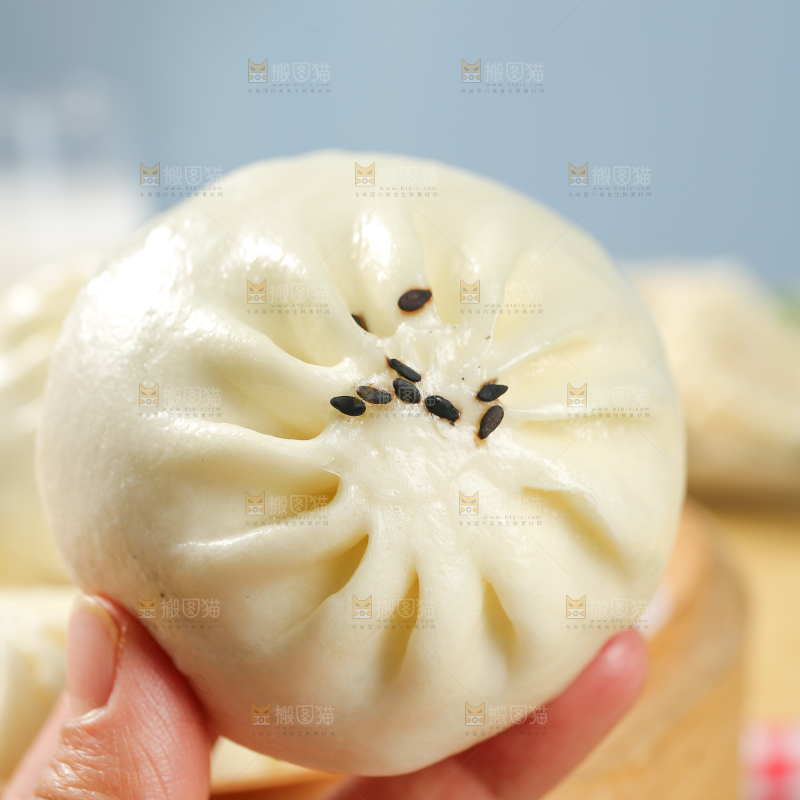 浅底上的牛肉包子