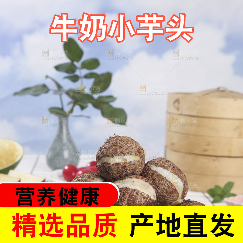 浅底上的新鲜小芋头