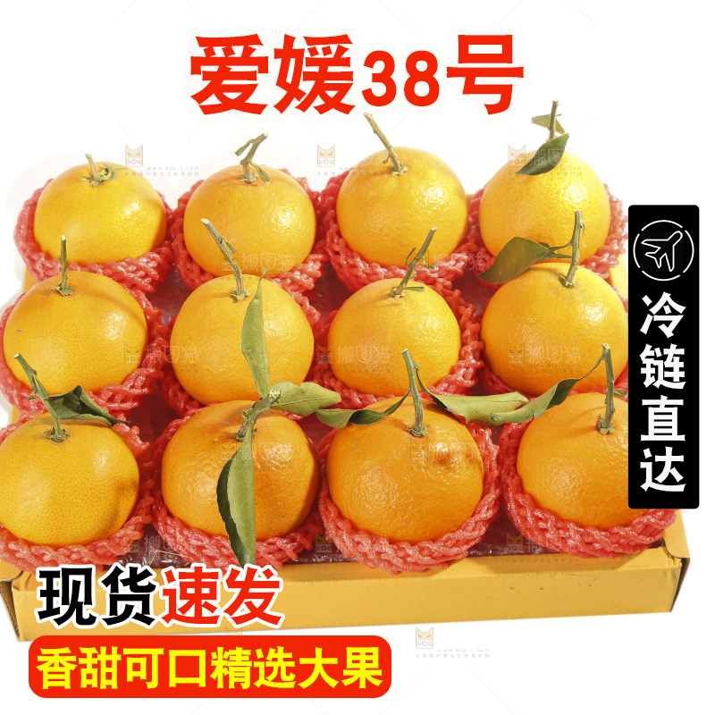 白底上的爱媛果冻橙