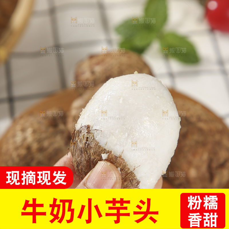 浅底上的新鲜小芋头