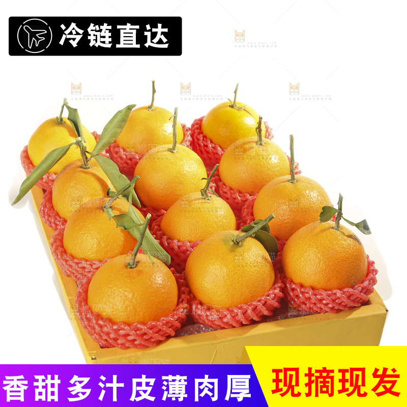 白底上的爱媛果冻橙