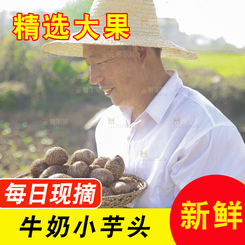手里拿着新鲜小芋头