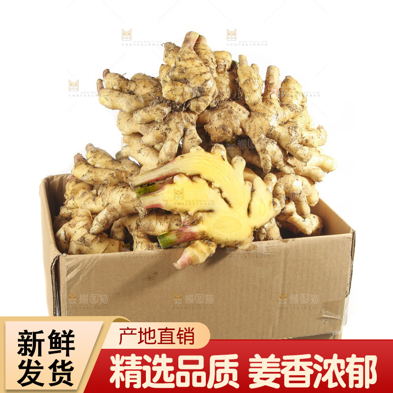白底上的小黄姜