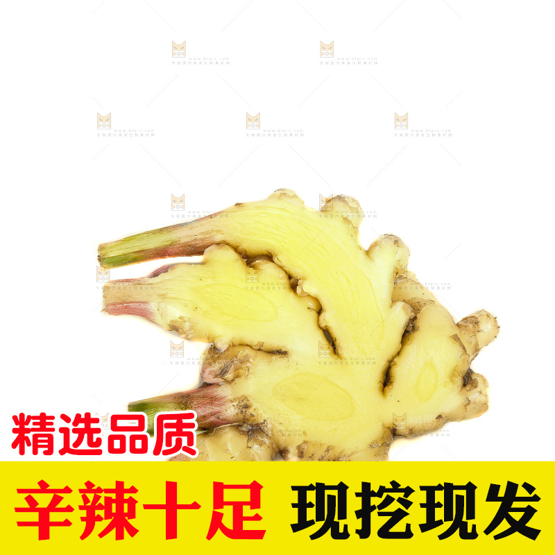 白底上的小黄姜