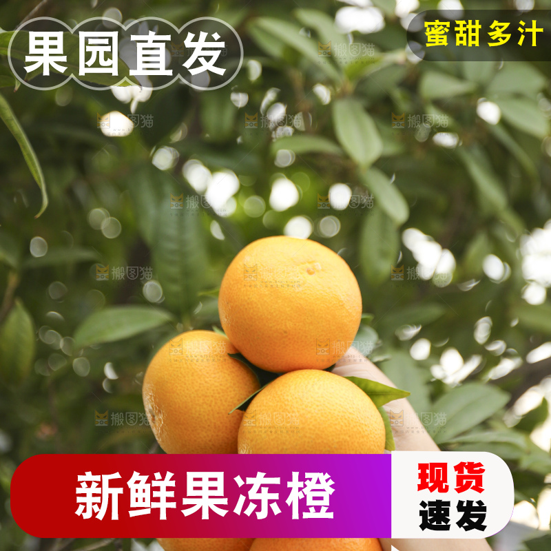 手里拿着爱媛果冻橙