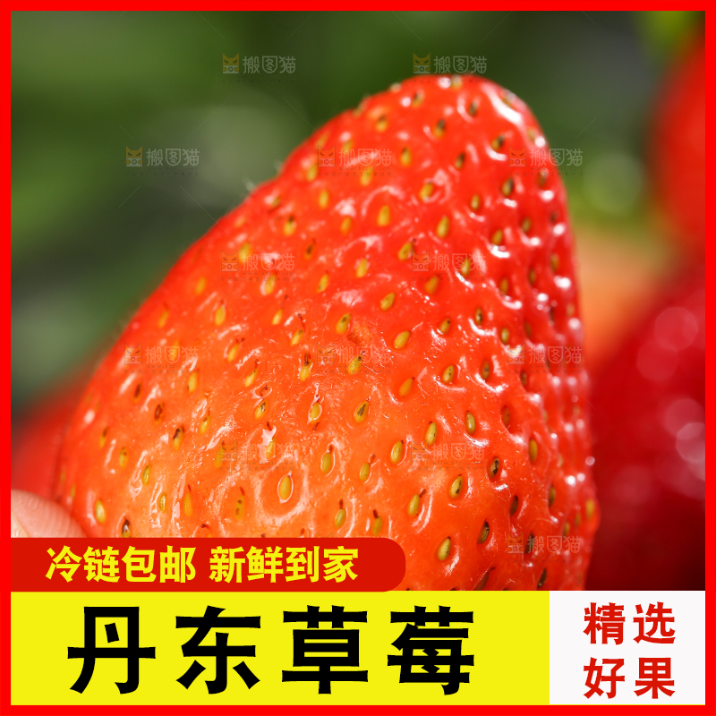深底上的丹东草莓