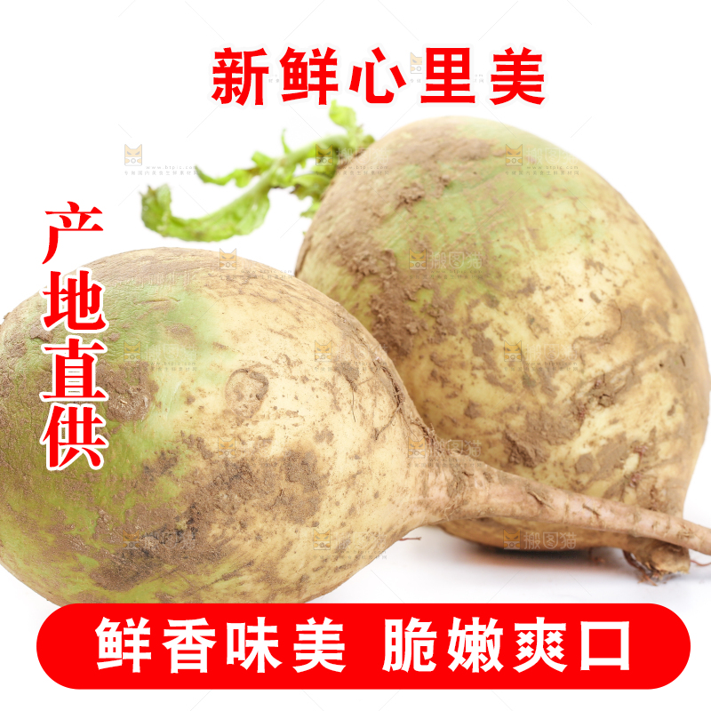 白底上的心里美萝卜