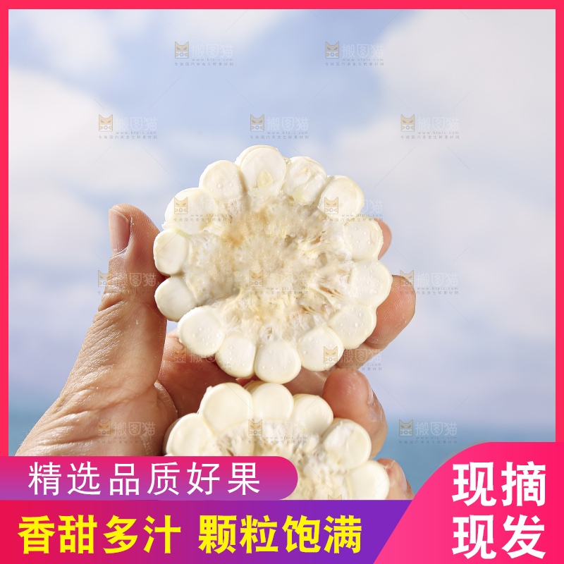 浅底上的牛奶玉米