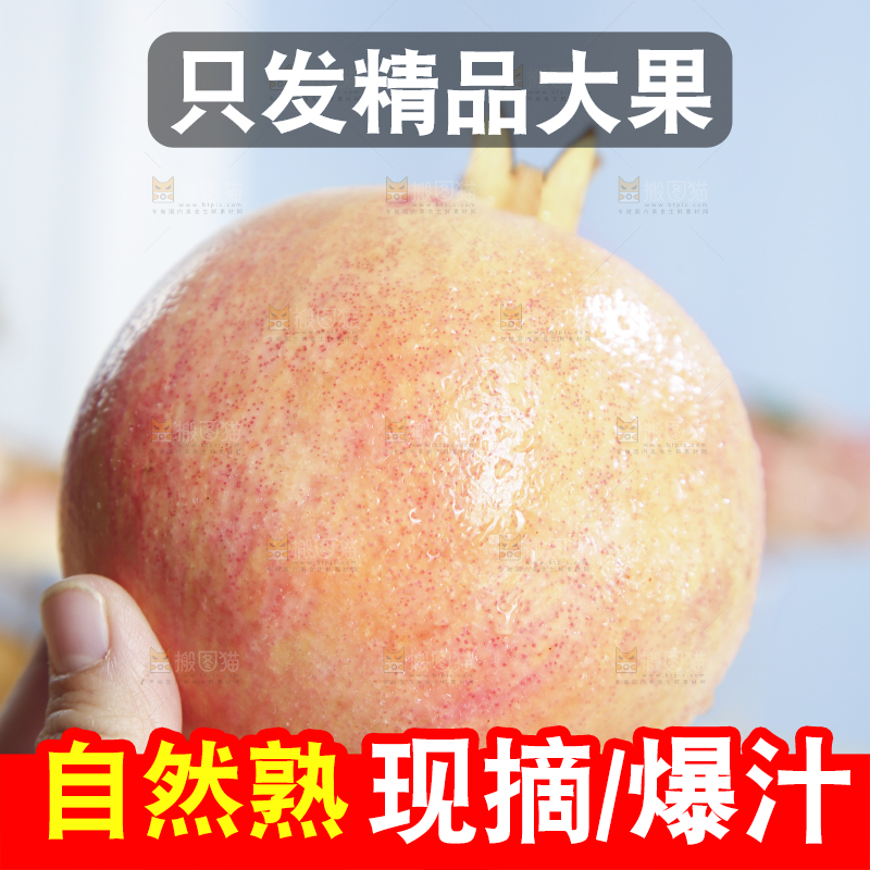 浅底上的蒙自石榴