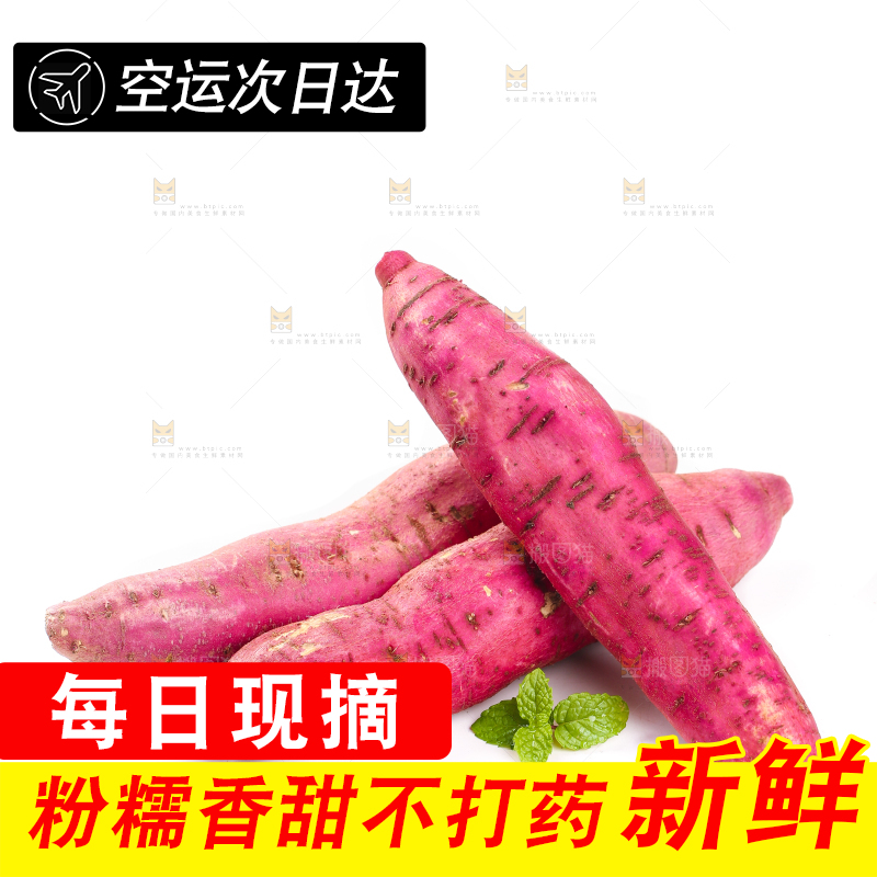 白底上的板栗红薯
