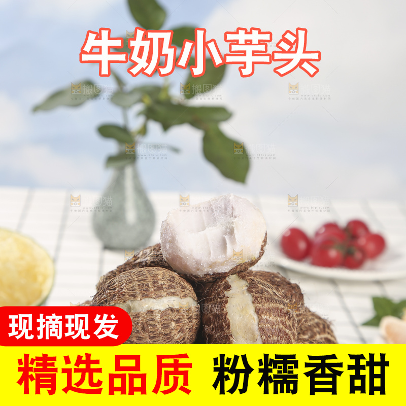 浅底上的新鲜小芋头
