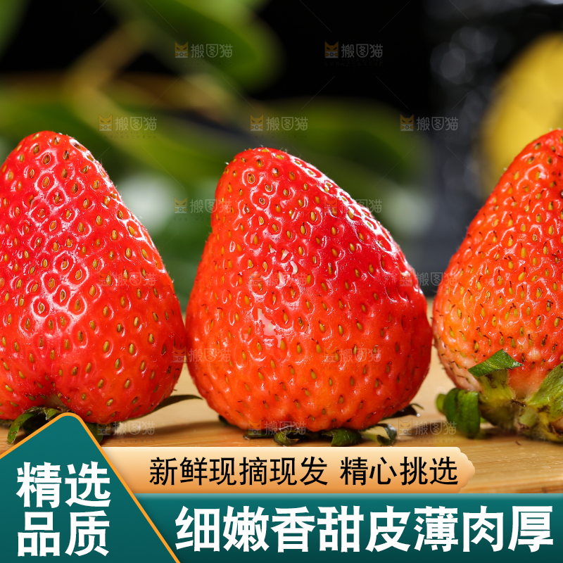 深底上的丹东草莓