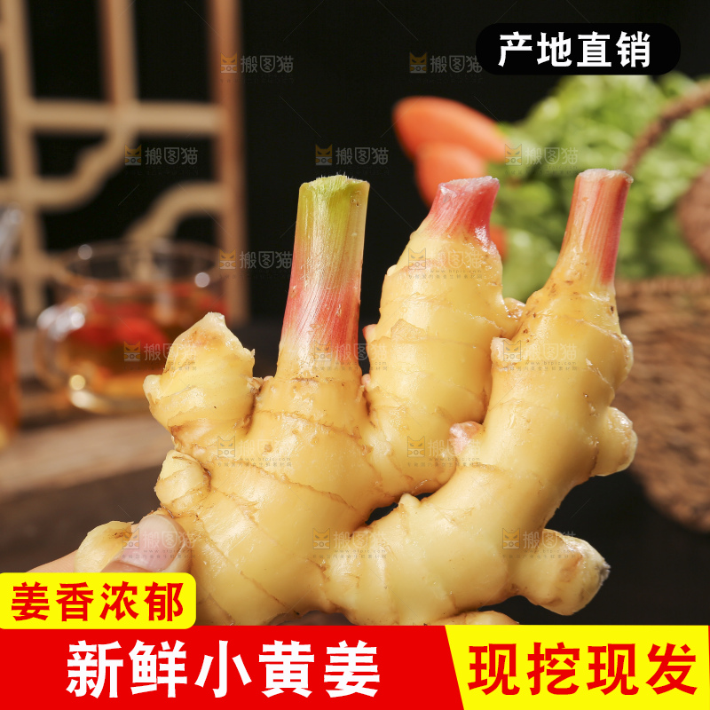 深底上的小黄姜