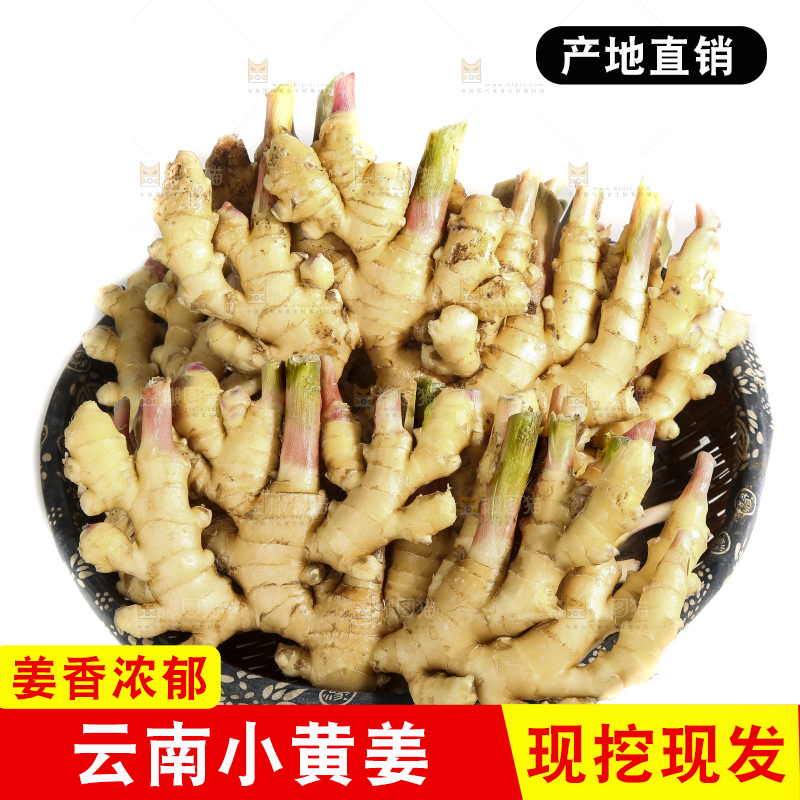 白底上的小黄姜