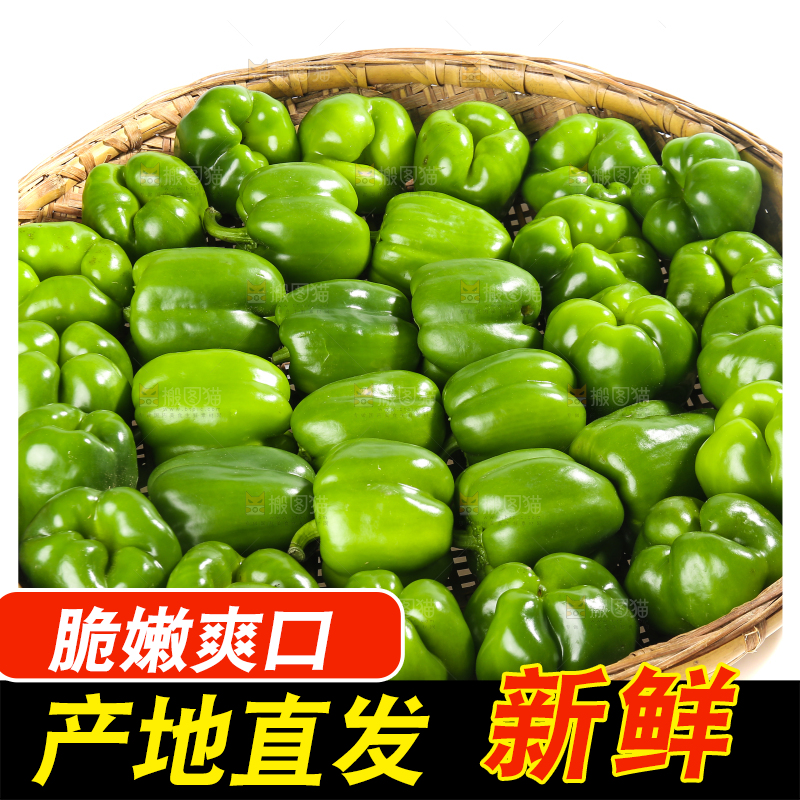 白底上的青圆椒