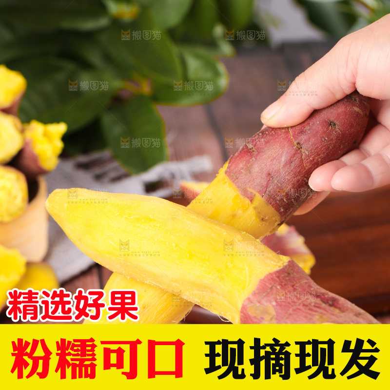 深底上的板栗红薯