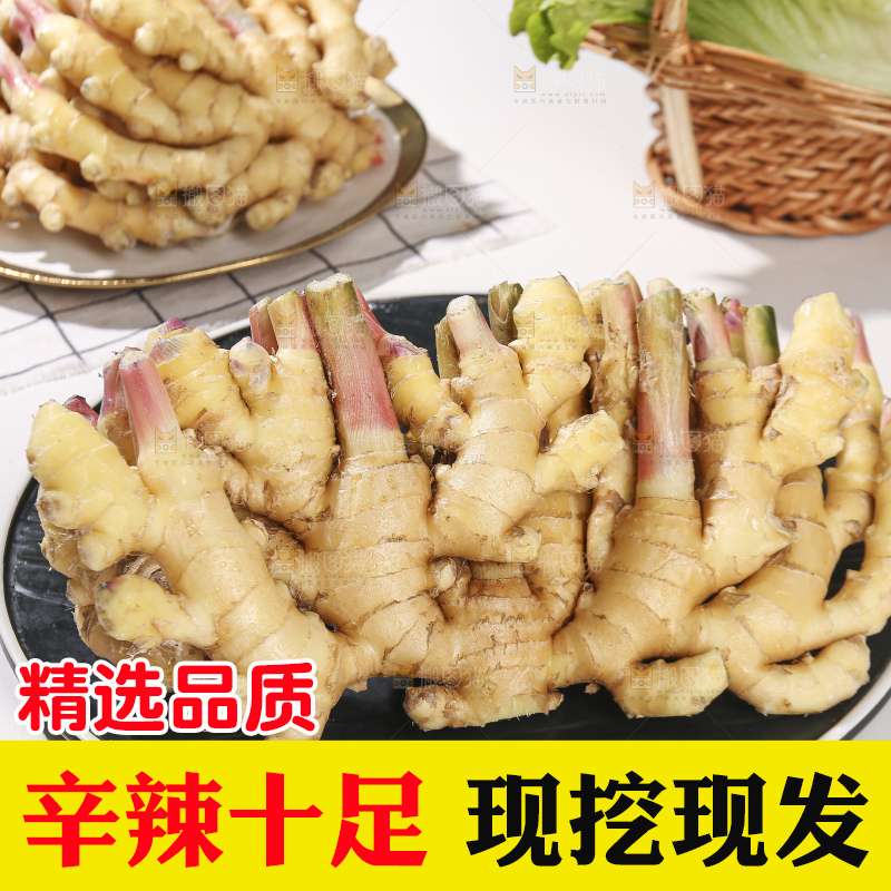 浅底上的小黄姜