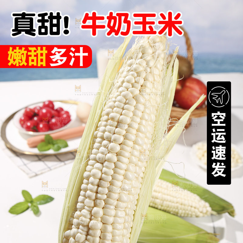 浅底上的牛奶玉米