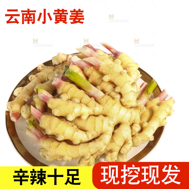 白底上的小黄姜