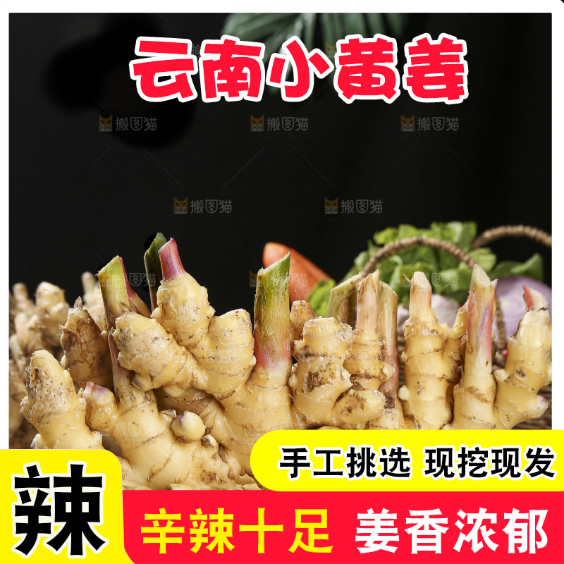 木底上的新鲜小黄姜