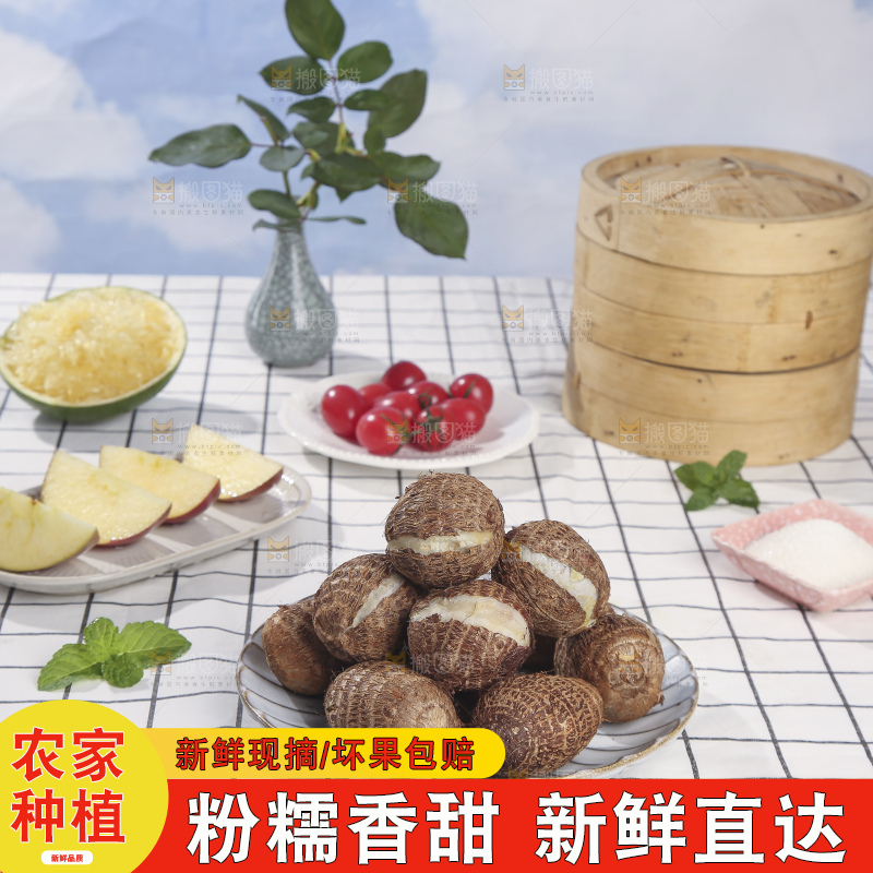 浅底上的新鲜小芋头