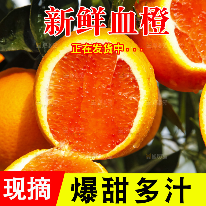 树上的中华红血橙
