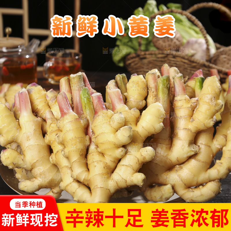 深底上的小黄姜