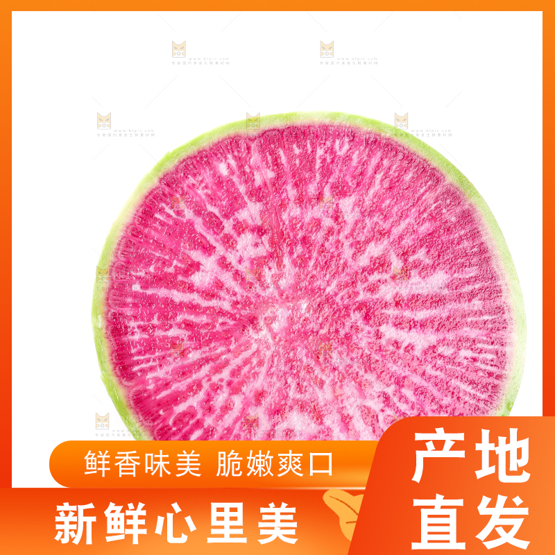 白底上的心里美萝卜