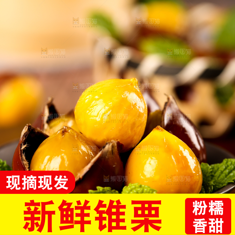 深底上的油锥栗