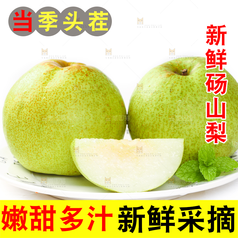 白底上的砀山梨