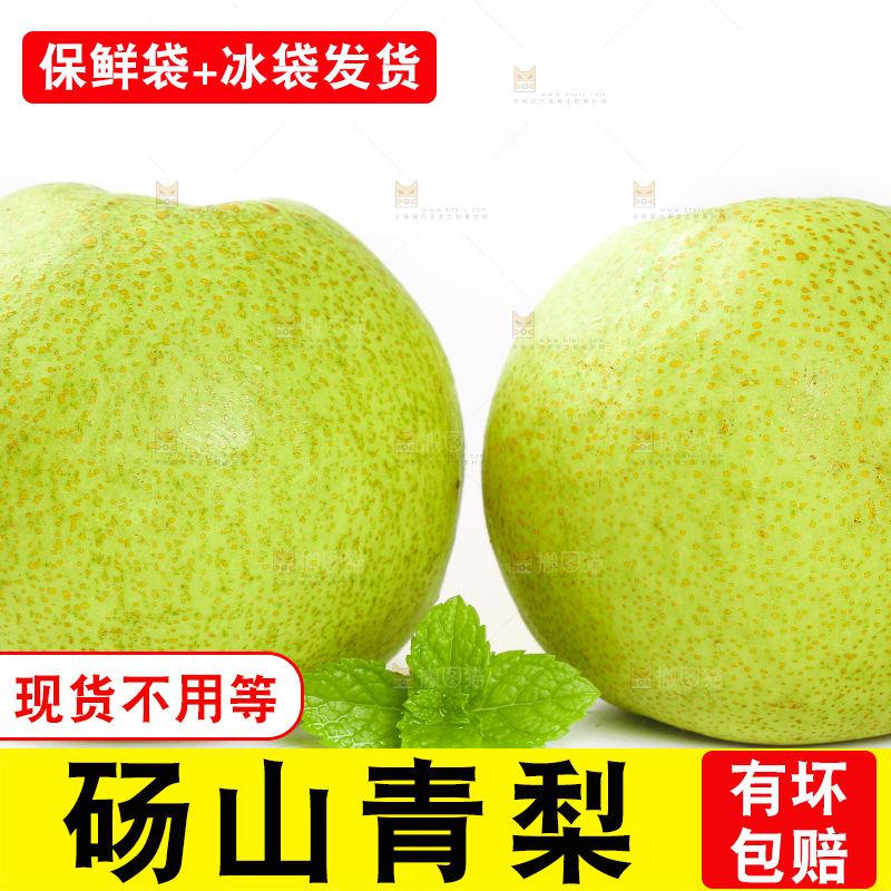 白底上的砀山梨