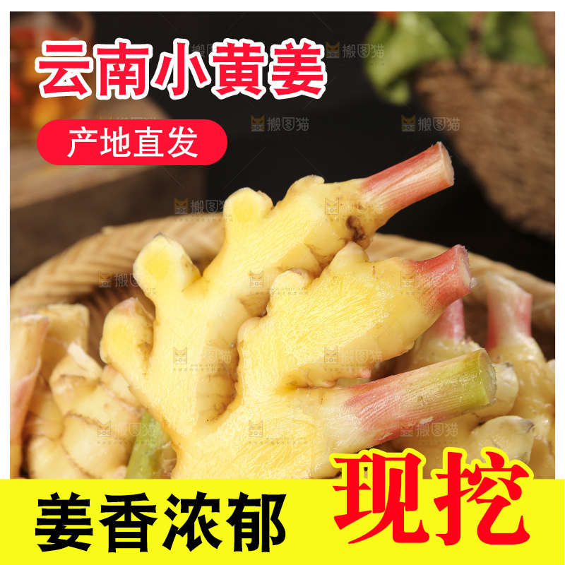 深底上的小黄姜